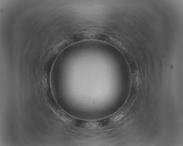 X0000078000615200611031447