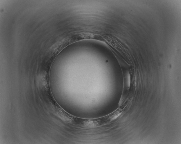 X0000078000616200611031447