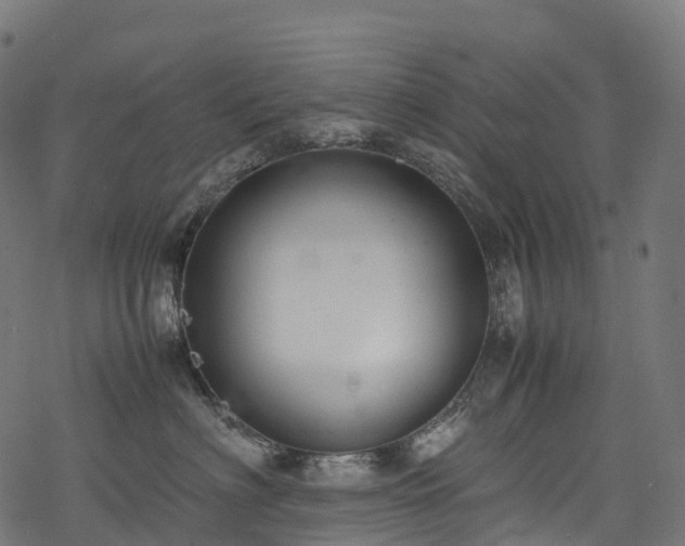 X0000078000622200611031447