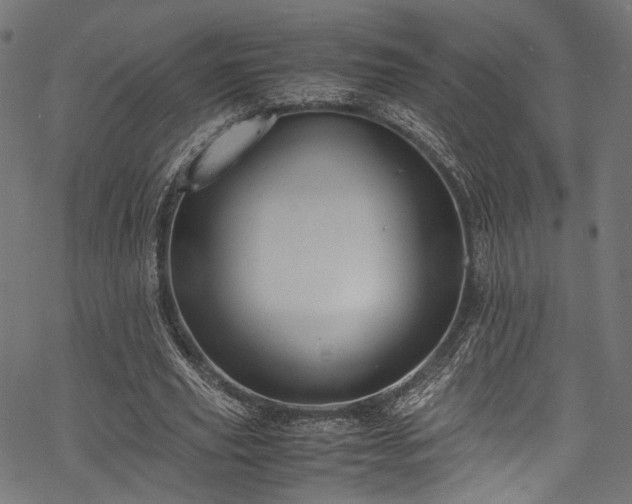 X0000078000629200611031446