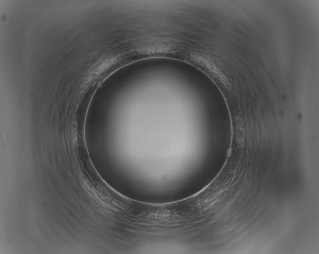 X0000078000631200611031446