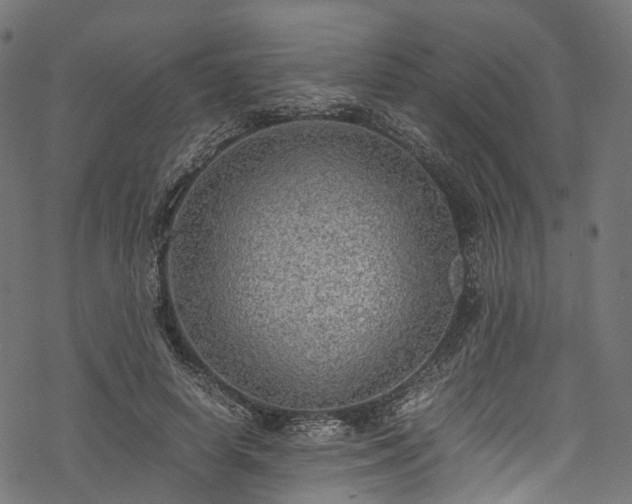X0000078000642200611031446
