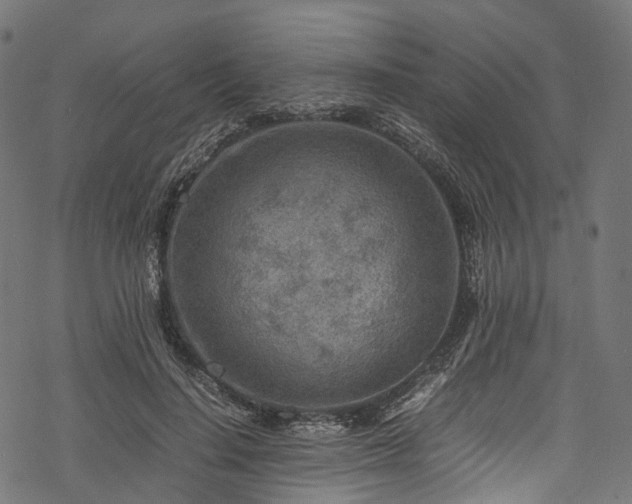 X0000078000644200611031446