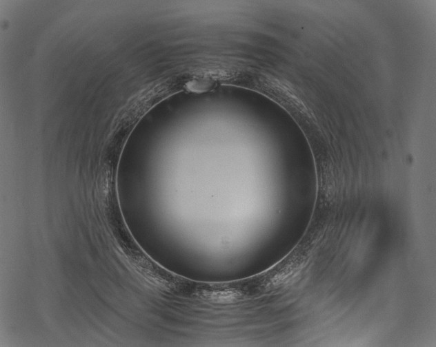 X0000078000645200611031446