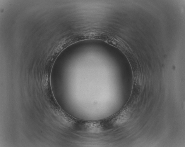 X0000078000660200611031446