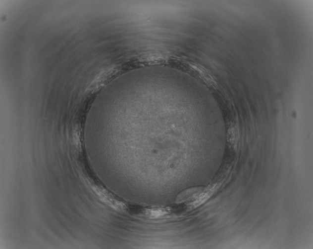 X0000078000662200611031447