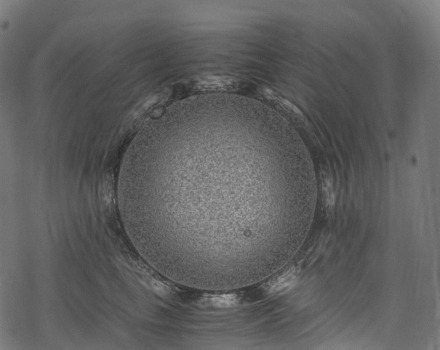 X0000078000665200611031447