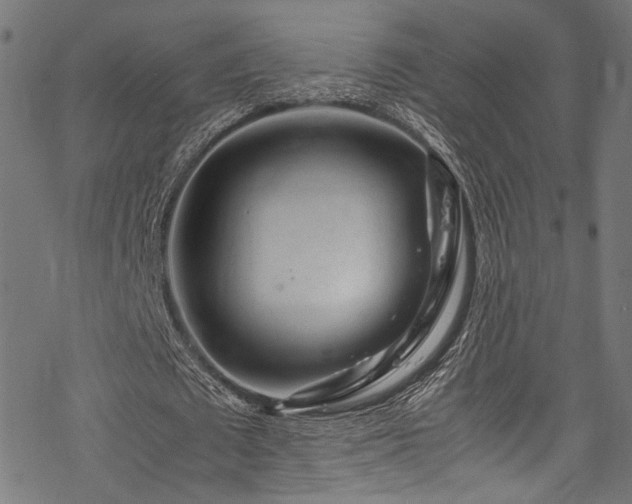 X0000078000673200611031446