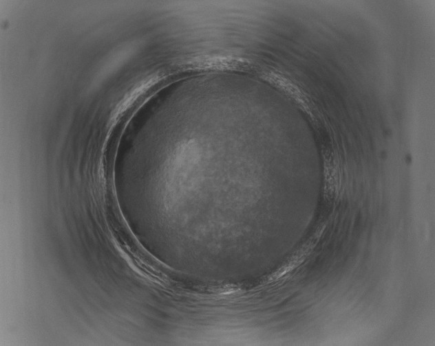 X0000078000674200611031446