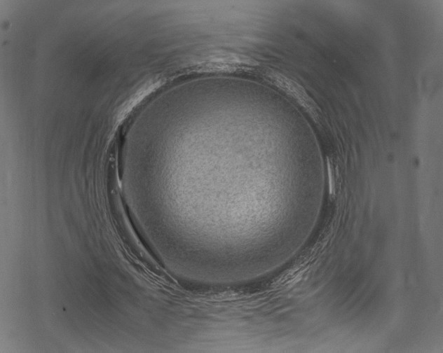 X0000078000675200611031446