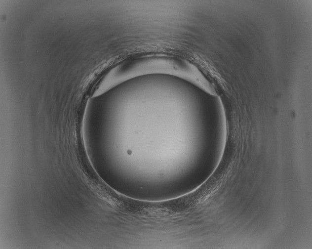 X0000078000681200611031446