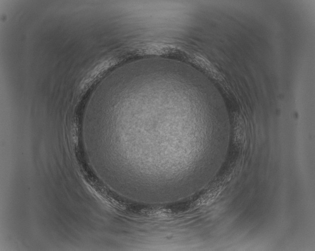 X0000078000683200611031446