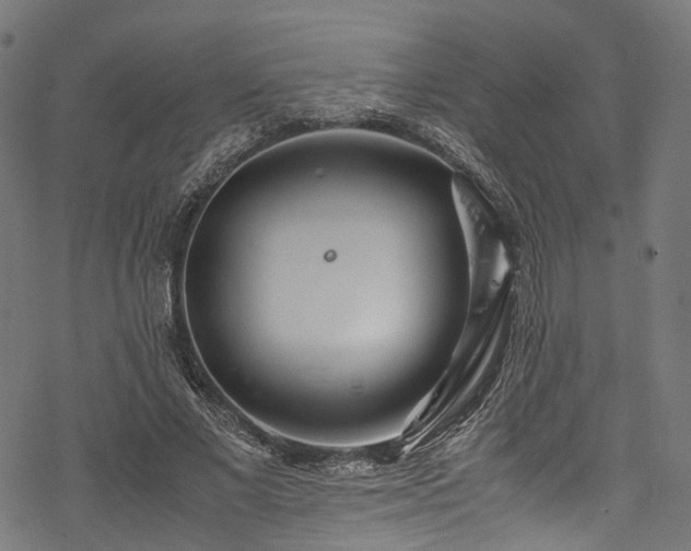 X0000078000685200611031446
