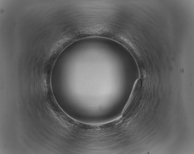 X0000078000688200611031446