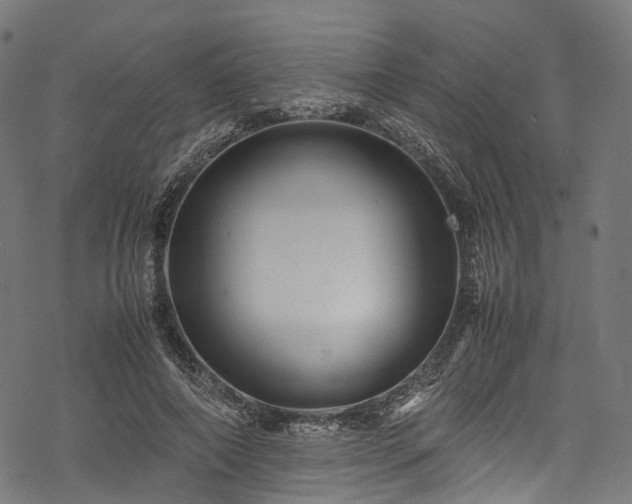 X0000078000690200611031446