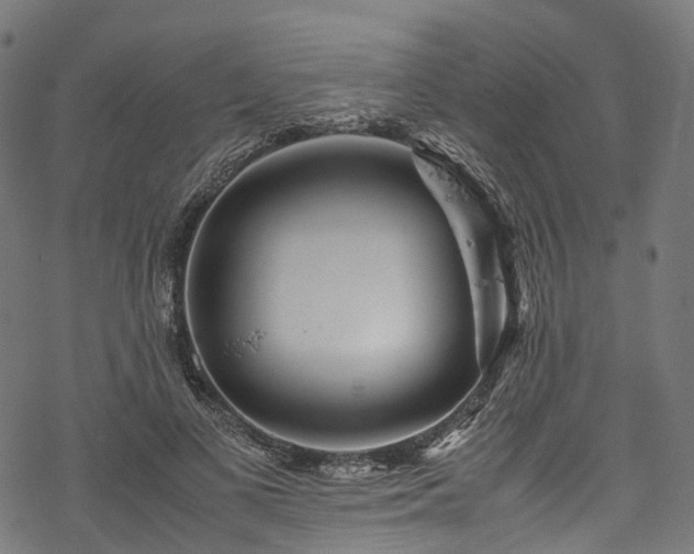 X0000078000693200611031446