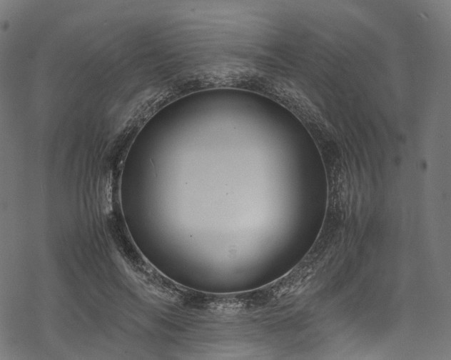 X0000078000694200611031446