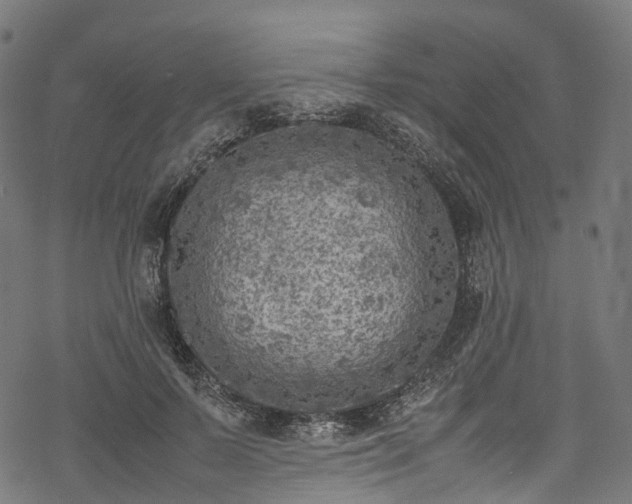 X0000078000695200611031446