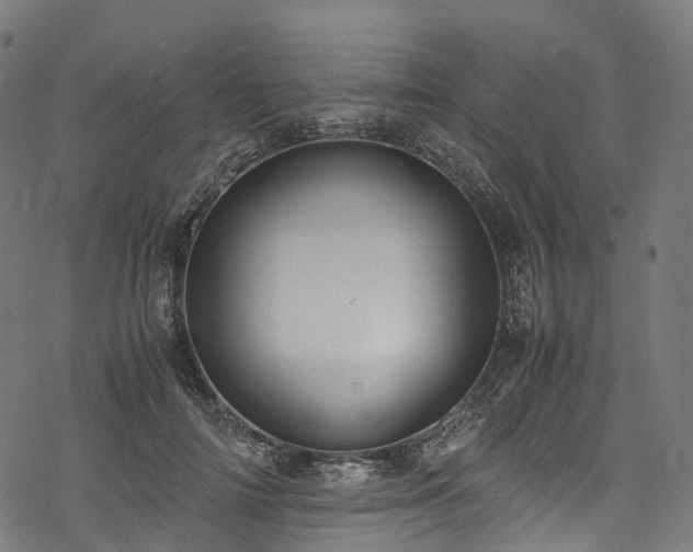 X0000078000698200611031445