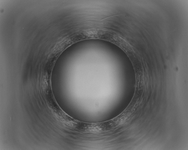X0000078000702200611031445