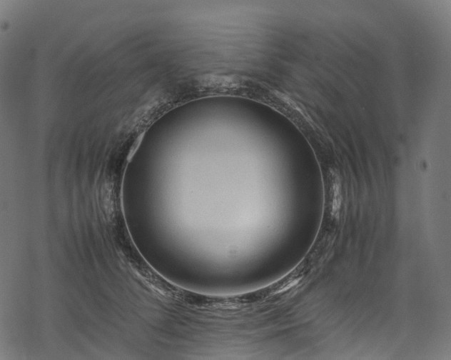 X0000078000708200611031445