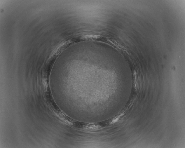 X0000078000716200611031445