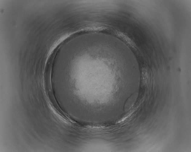 X0000078000726200611031444