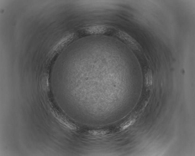 X0000078000733200611031445