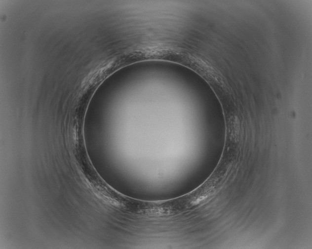 X0000078000740200611031445