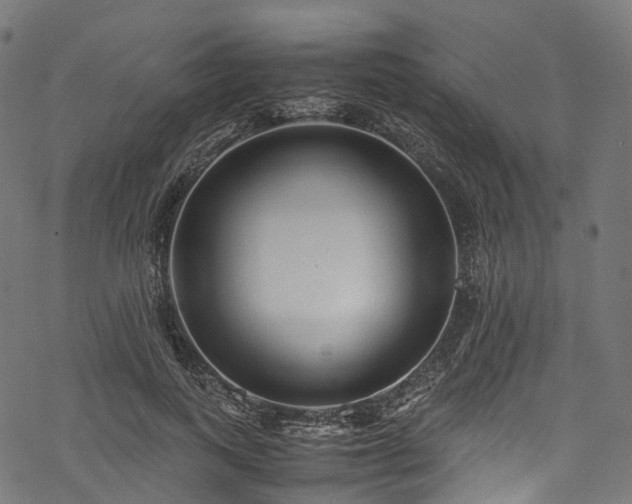 X0000078000743200611031445