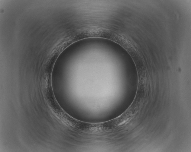 X0000078000744200611031445
