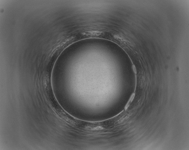 X0000078000747200611031445