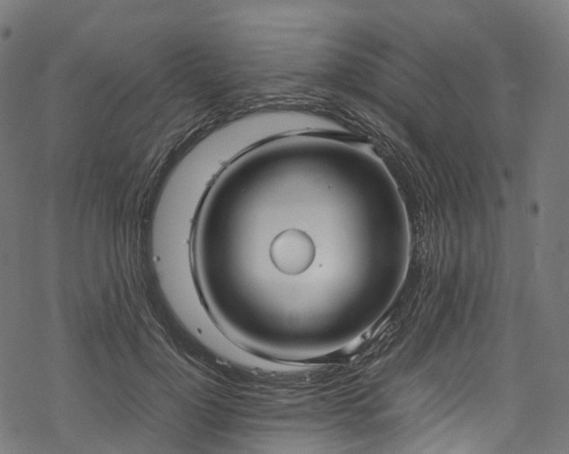 X0000078000748200611031445