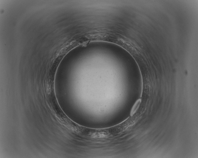 X0000078000751200611031445