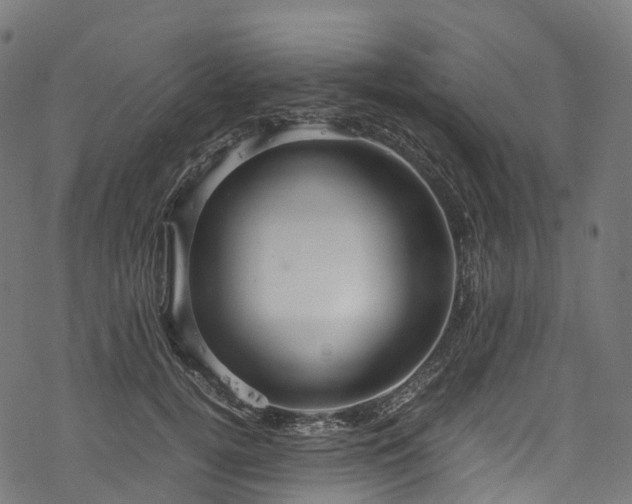 X0000078000752200611031445