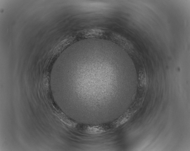 X0000078000753200611031445