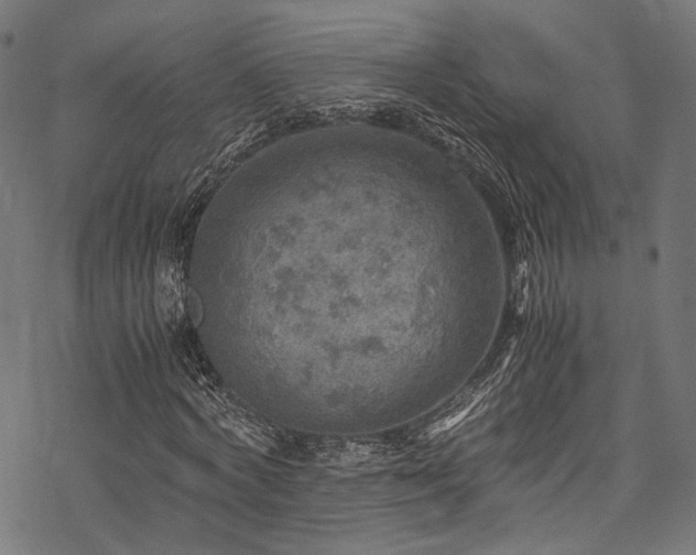 X0000078000772200611031444