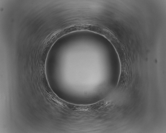 X0000078000773200611031444