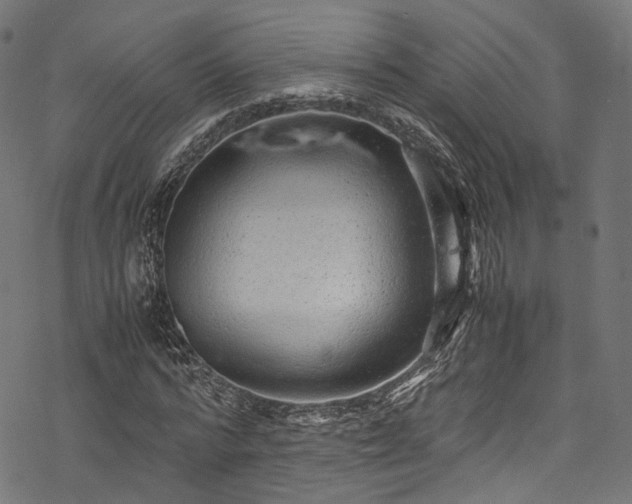X0000078000776200611031444