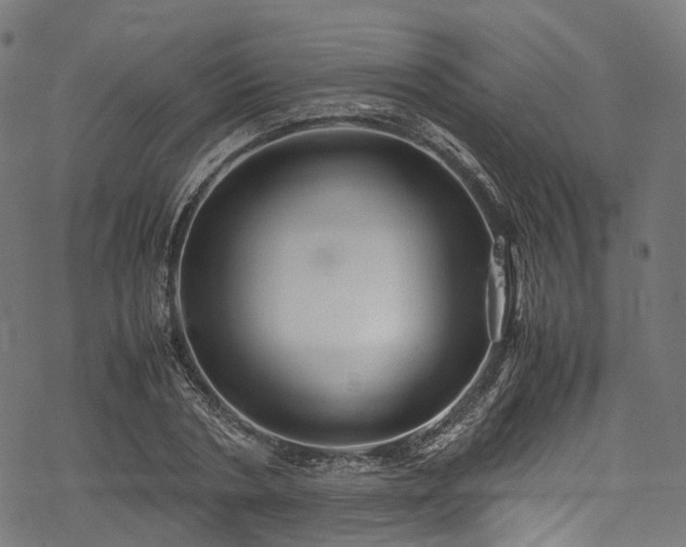 X0000078000786200611031444