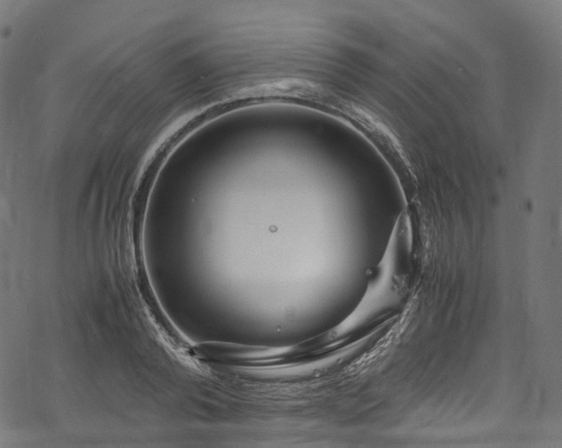 X0000078000792200611031444