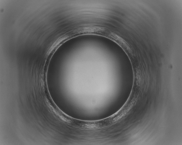 X0000078000794200611031444