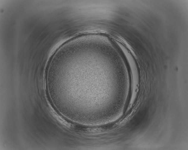 X0000078000795200611031444