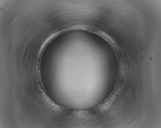 X0000078000808200611031444