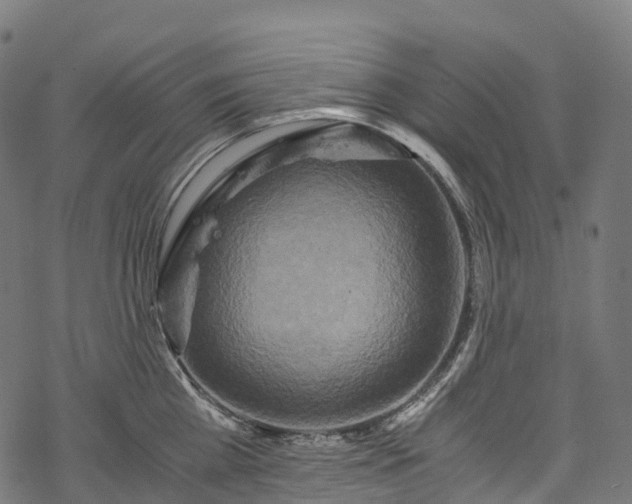 X0000078000809200611031444