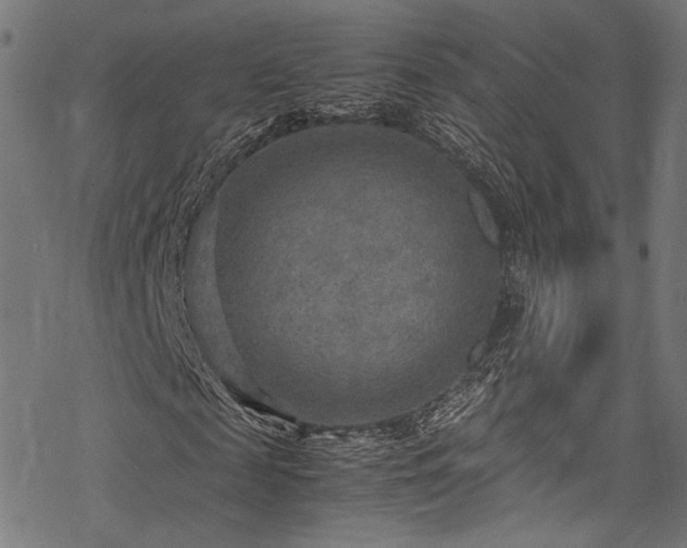 X0000078000817200611031443