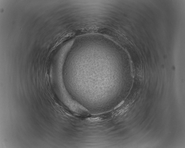 X0000078000818200611031443