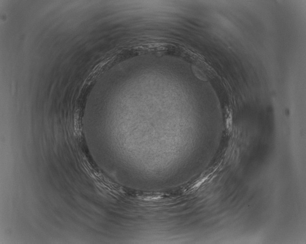 X0000078000819200611031443
