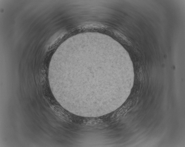 X0000078000824200611031443
