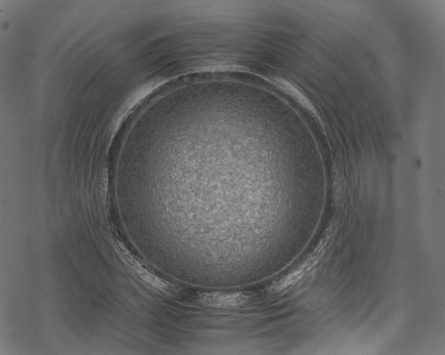 X0000078000831200611031443